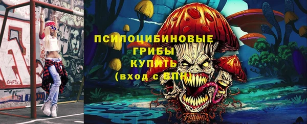 ECSTASY Ладушкин