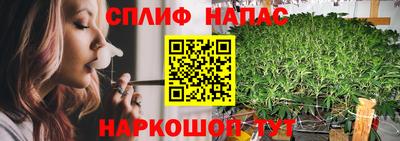a pvp Отрадное