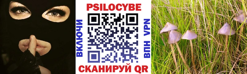 сколько стоит  Салават  Псилоцибиновые грибы мицелий 
