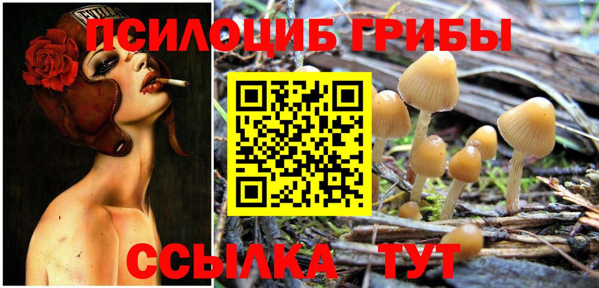 Галлюциногенные грибы мухоморы Салават
