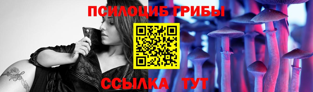 где купить наркотик  Вход с VPN  Салават  Галлюциногенные грибы Psilocybine cubensis 